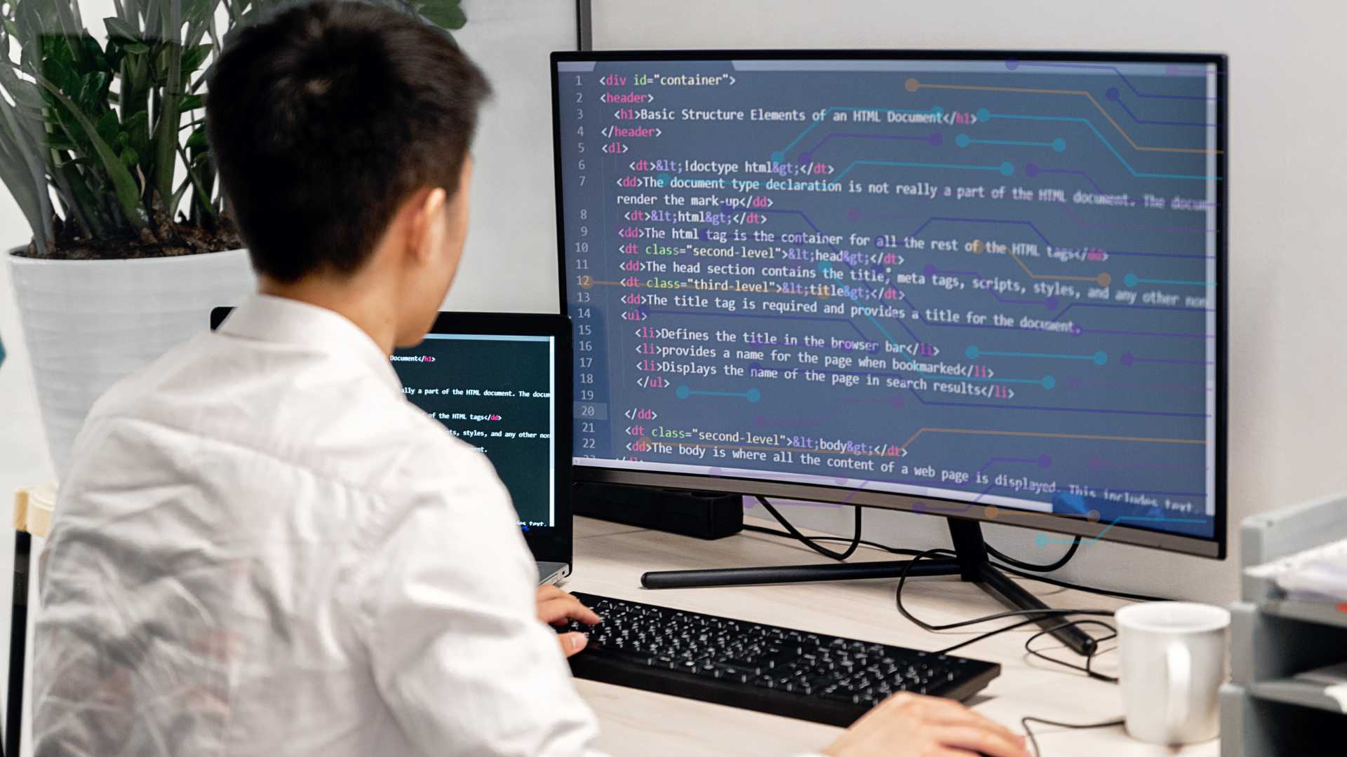 best monitor for designers in India